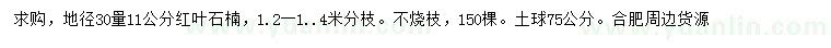 求購地徑30公分量11公分紅葉石楠