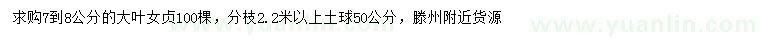 求購7-8公分大葉女貞