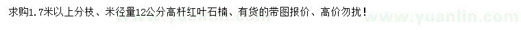 求購(gòu)米徑量12公分高桿紅葉石楠