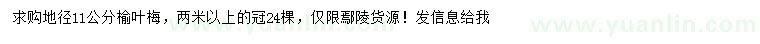求購(gòu)地徑11公分榆葉梅
