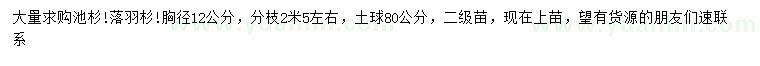 求購(gòu)胸徑12公分池杉、落羽杉