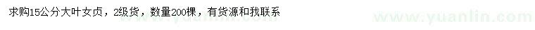 求購15公分大葉女貞