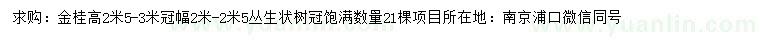 求購高2.5-3米金桂