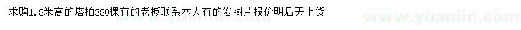 求購(gòu)高1.8米塔柏