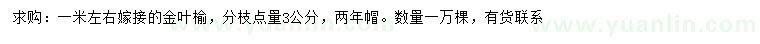 求購1米左右嫁接金葉榆