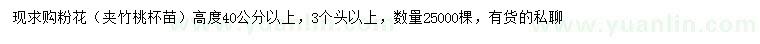求購高40公分以上粉花夾竹桃