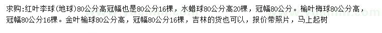 求購紅葉李球、水蠟球、榆葉梅球