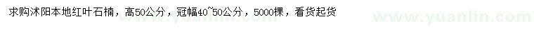 求購高50公分紅葉石楠