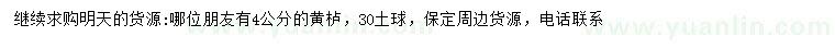 求購4公分黃櫨