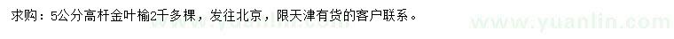 求購5公分高桿金葉榆