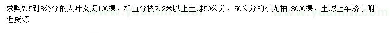 求購7.5-8公分大葉女貞、50公分小龍柏