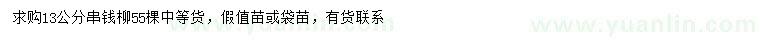 求購13公分串錢柳