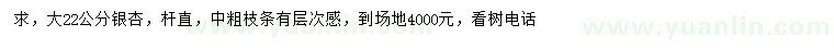 求購(gòu)22公分銀杏