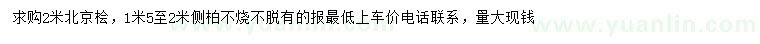 求購2米北京檜、1.5-2米側(cè)柏