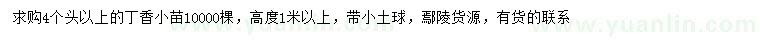 求購高1米以上丁香小苗