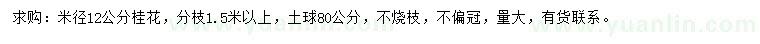 求購(gòu)米徑12公分桂花