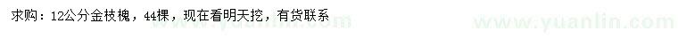 求購(gòu)12公分金枝槐