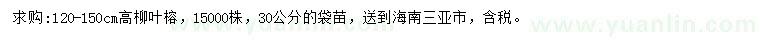 求購高120-150公分柳葉榕
