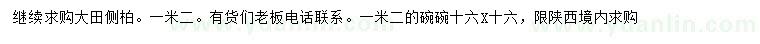 求購(gòu)1.2米大田側(cè)柏