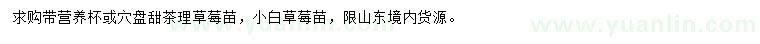 求購甜茶理草莓苗