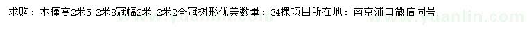 求購高2.5-2.8米木槿		