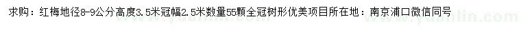 求購地徑8-9公分紅梅		