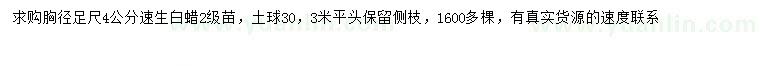 求購胸徑足4公分速生白蠟