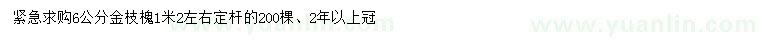 求購6公分金枝槐