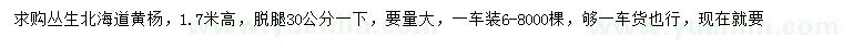 求購高1.7米叢生北海道黃楊