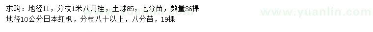 求購地徑11公分八月桂、10公分日本紅楓