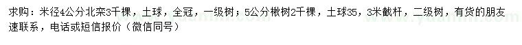 求購(gòu)米徑4公分北欒、5公分楸樹(shù)