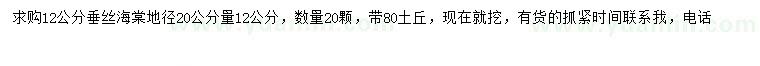 求購(gòu)地徑20公分量12公分垂絲海棠