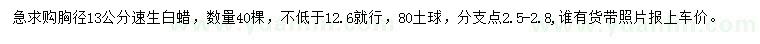 求購胸徑13公分速生白蠟