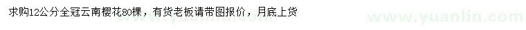 求購12公分云南櫻花