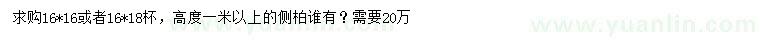 求購(gòu)高1米以上側(cè)柏