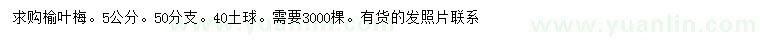 求購5公分榆葉梅