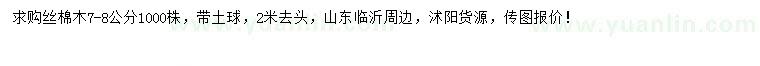 求購7-8公分絲棉木