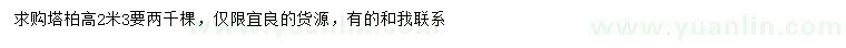 求購(gòu)高2.3米塔柏