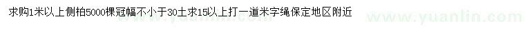 求購1米以上側(cè)柏