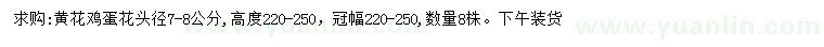 求購頭徑7-8公分黃花雞蛋花