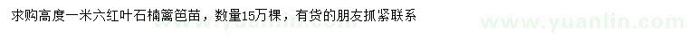 求購(gòu)高1.6米紅葉石楠