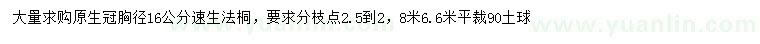 求購胸徑16公分速生法桐