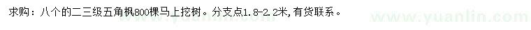 求購(gòu)8公分五角楓