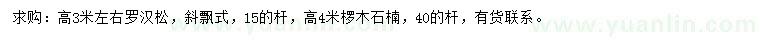 求購高3米左右羅漢松、4米欏木石楠	