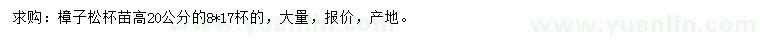 求購高20公分樟子松