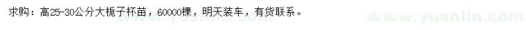 求購(gòu)25-30公分大梔子杯苗