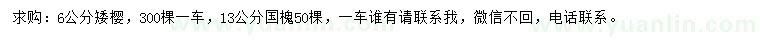 求購6公分矮櫻