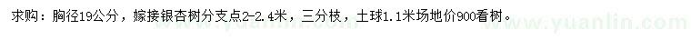 求購胸徑19公分銀杏