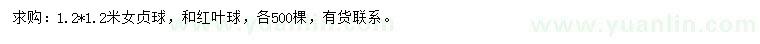 求購1.2*1.2米女貞球、紅葉球