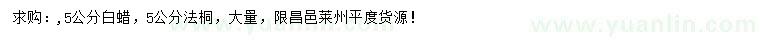 求購5公分白蠟、法桐